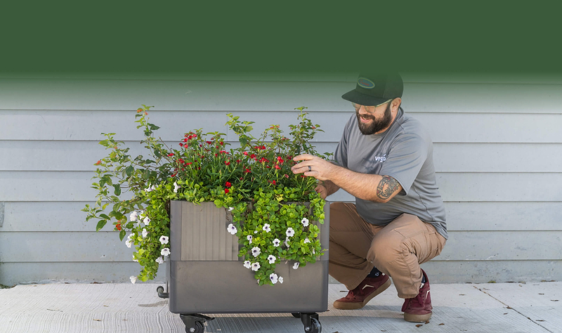 Vego garden beds
