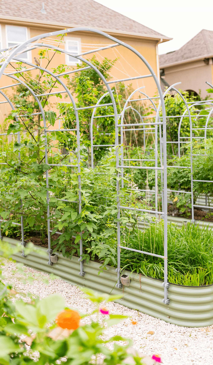 Vego garden beds