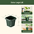 Seed Strating | Vego Garden
