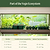 Seed Strating | Vego Garden