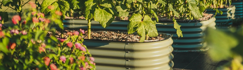 faqs page banner