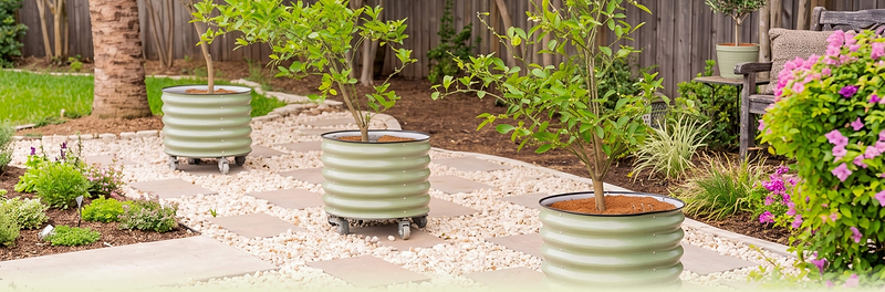 Vego garden beds