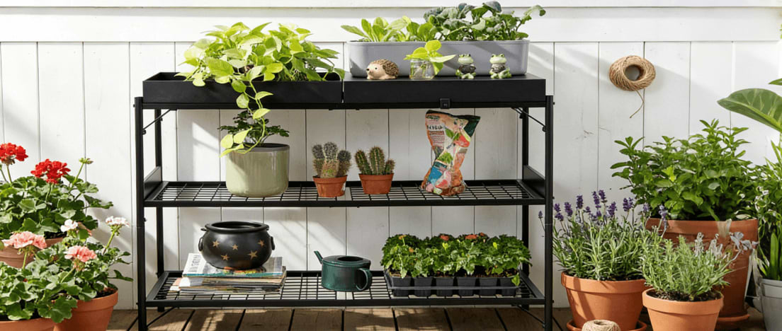 Vego garden beds