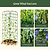 FlexGrow A-Frame Trellis Classic - 2 Pack | Vego Garden