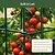 FlexGrow™ Modular 3-Panel Tomato Cage System | Vego Garden | Vego Garden