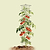 FlexGrow 3-Panel Tomato Cage | Vego Garden
