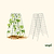 FlexGrow A-Frame Trellis Classic - 2 Pack | Vego Garden