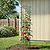 FlexGrow Tomato Cage | Vego Garden