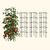 FlexGrow™ Modular 3-Panel Tomato Cage System - 11.5" | Vego Garden | Vego Garden
