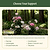 Flower Cage Round - 2 Pack  | Vego Garden