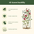 Flower Cage Round - 2 Pack  | Vego Garden