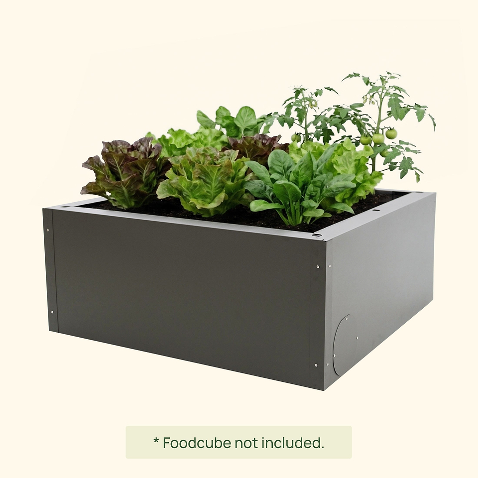 Best Raised Garden Beds for Vegetables, Fruits, Flowers | Vego Garden