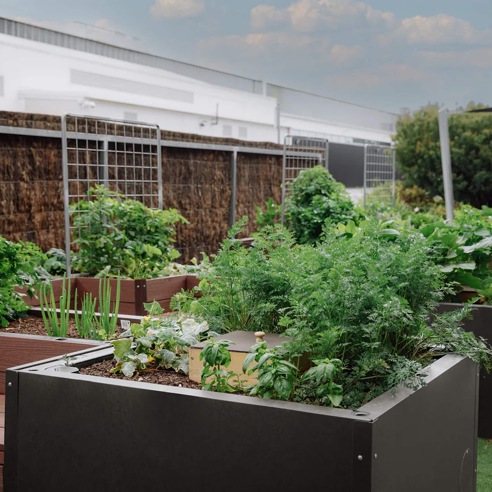 Best Raised Garden Beds for Vegetables, Fruits, Flowers | Vego Garden