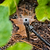 Fountain Sprinkler for Irrigation Kit | Vego Garden | Vego Garden