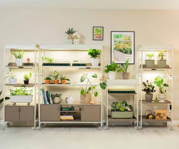 Vego garden beds