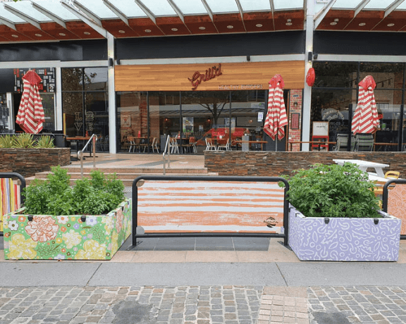 Vego garden beds