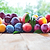 Fruit Cocktail Tree | Vego Garden