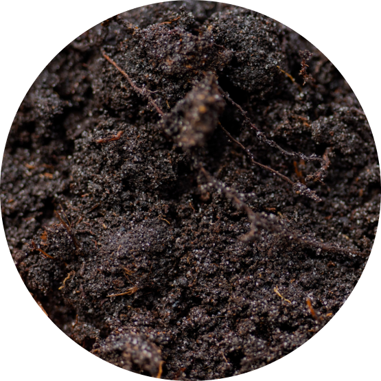 Vego garden beds