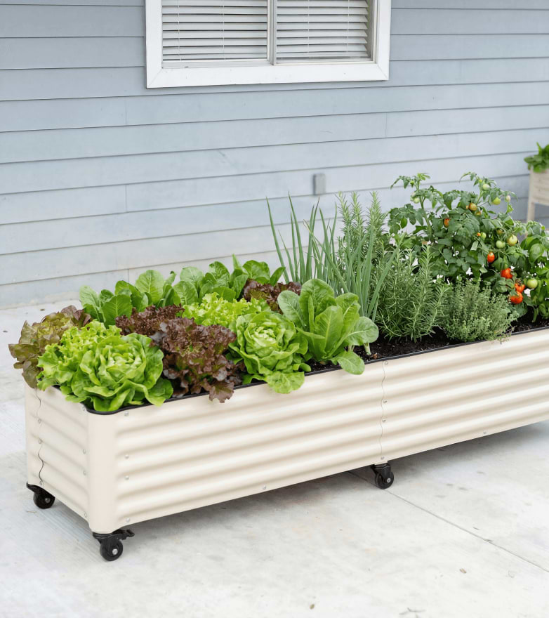 Vego garden beds