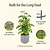Gen 2 Trellis for EZ Tomato Planter  | Vego Garden