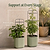 Gen 2 Trellis for EZ Tomato Planter  | Vego Garden