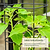 Gen 2 Trellis for EZ Tomato Planter  | Vego Garden