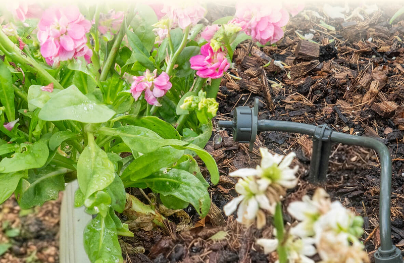 Vego garden beds