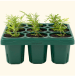 Vego garden beds