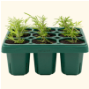 Vego garden beds
