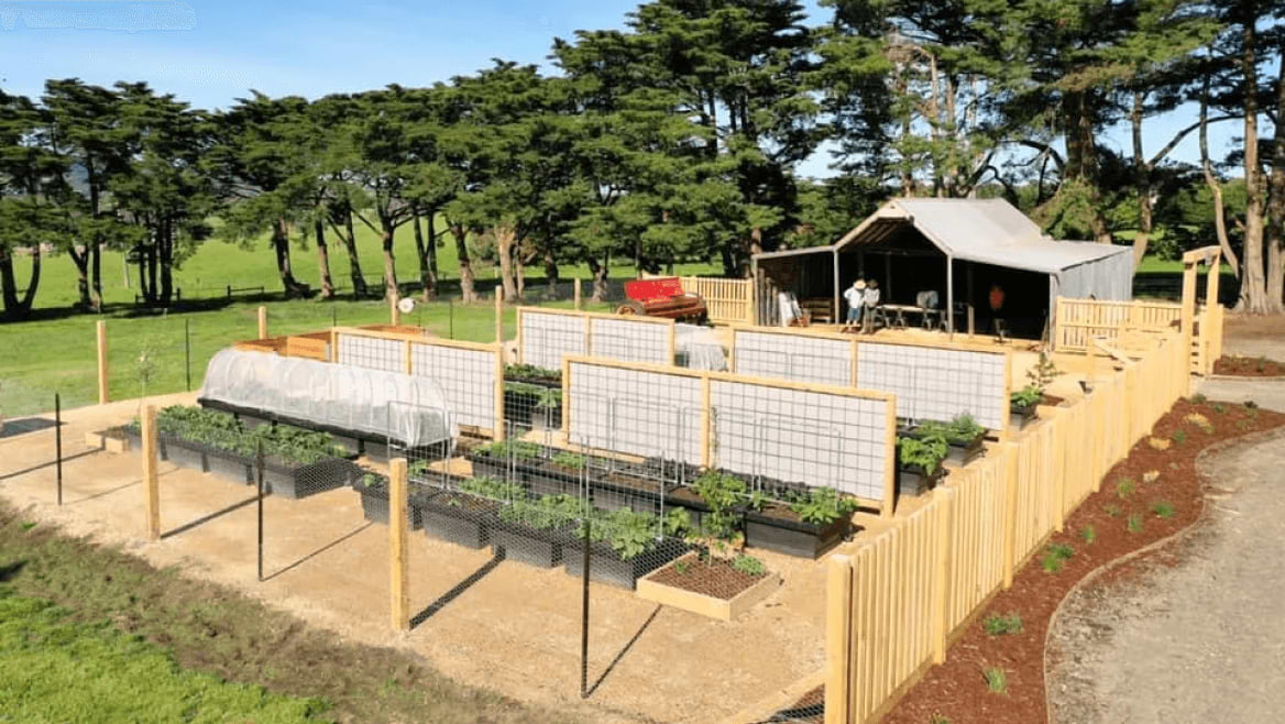 Vego garden beds