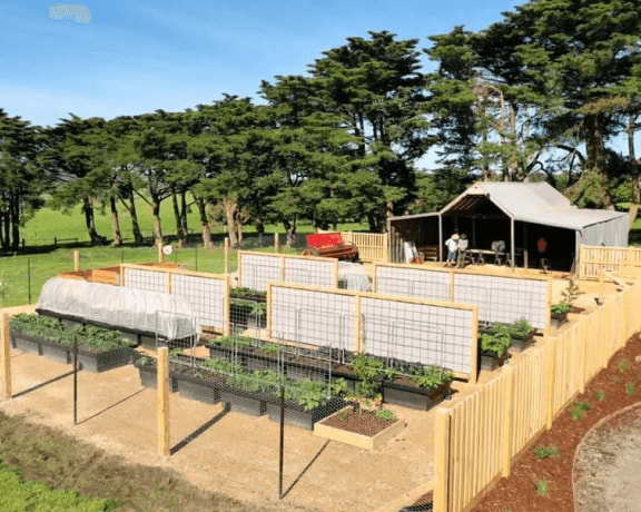 Vego garden beds