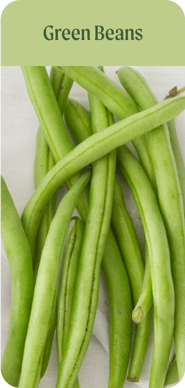 Green_Beans
