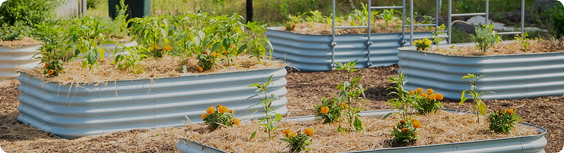 Vego garden beds