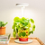 Tabletop Oasis Mini Bundle | Vego Garden