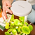 Tabletop Oasis Mini Bundle | Vego Garden