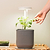 Tabletop Oasis Mini Bundle | Vego Garden
