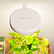Tabletop Oasis Mini Bundle | Vego Garden
