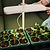 Indoor Herb Garden Starter Kit | Vego Garden