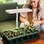 Indoor Herb Garden Starter Kit | Vego Garden
