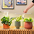 Indoor Herb Garden Starter Kit | Vego Garden
