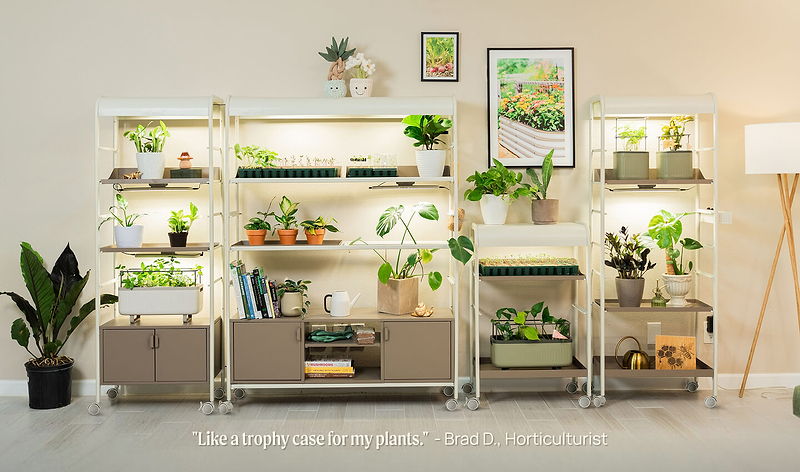 Grow Light Garden