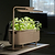 The Vego Grow Light Stand | Vego Garden