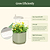 Grow Light Stand Mini  | Vego Garden