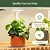 Grow Light Stand Mini  | Vego Garden