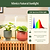 Grow Light Stand Starter  | Vego Garden