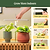 Grow Light Stand Starter  | Vego Garden
