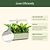 Grow Light Stand Starter  | Vego Garden