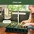 Grow Light Stand Starter  | Vego Garden