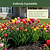 Vego Garden Plant Suppots | Vego Garden