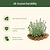 Vego Garden Plant Suppots | Vego Garden
